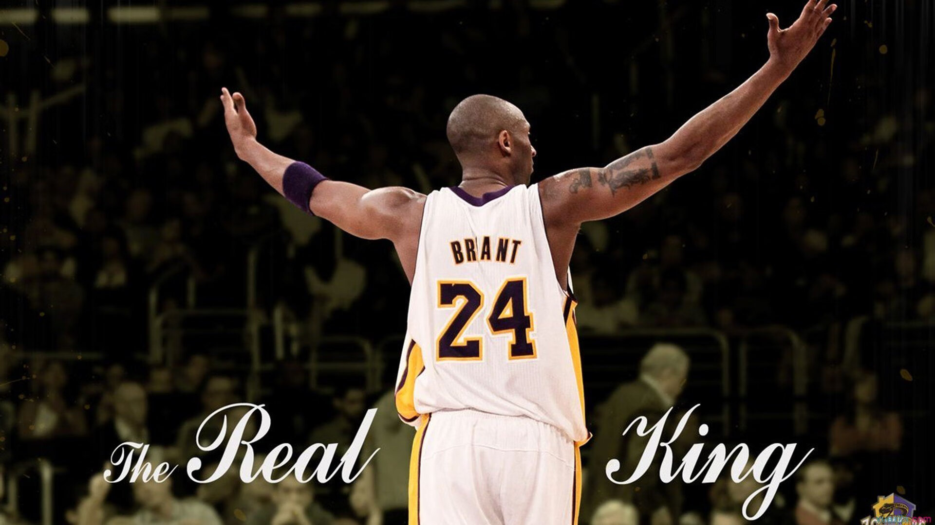 _极地冰原赛车：在雪海中追逐速度_，极地冰原上映时间