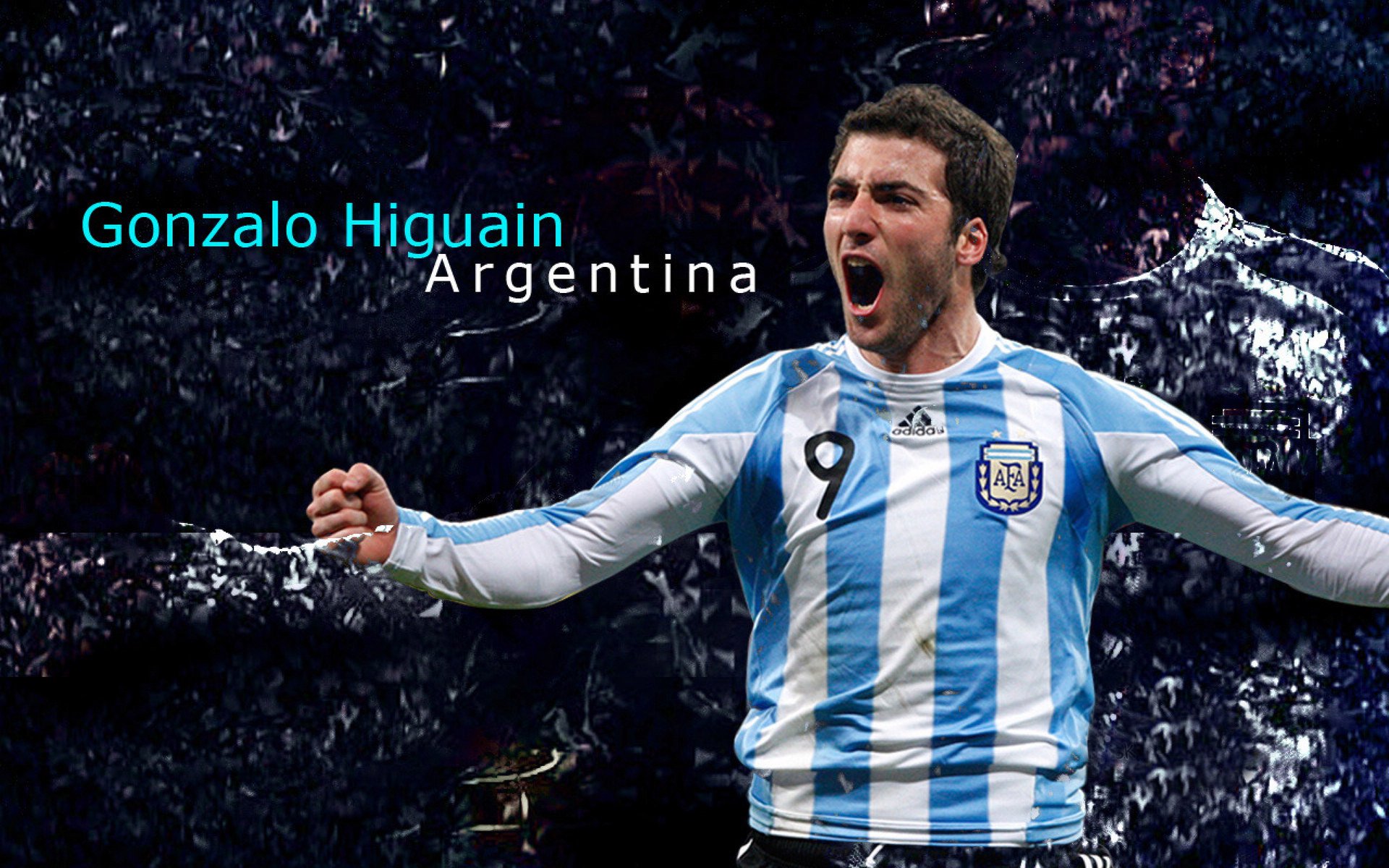 “菁英出战”——新手逐渐崭露头角的动人故事